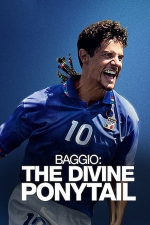 Roberto Baggio: El divino