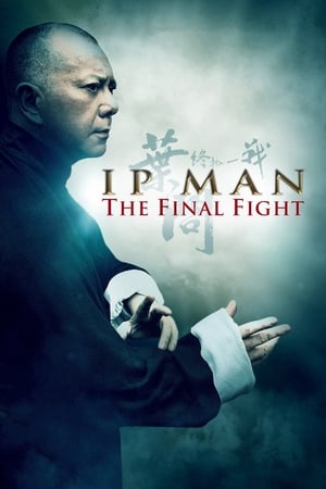 Ip Man: La pelea final